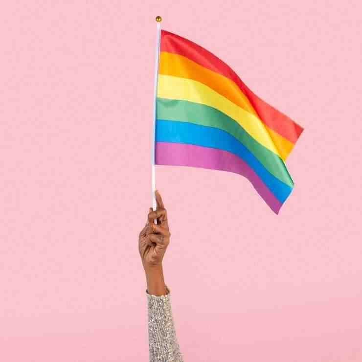 Promotional Branded Pride Hand Waving Flags