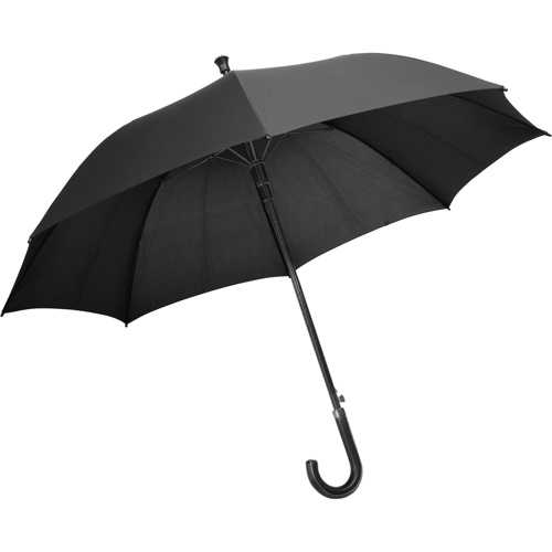 Charles Dickens® umbrella