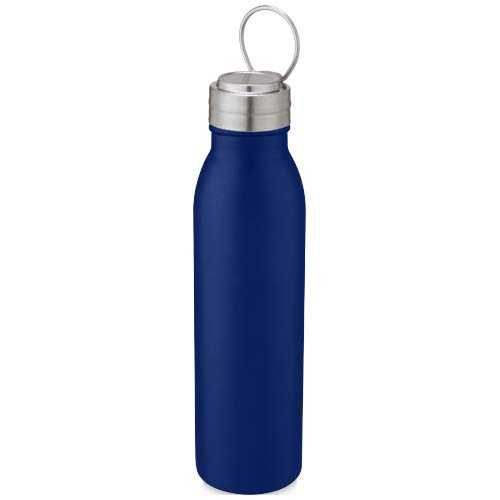 Harper 700 ml stainless steel water bottle with metal loop