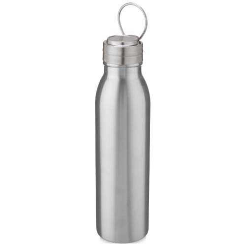 Harper 700 ml stainless steel water bottle with metal loop