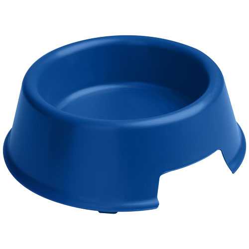 Koda dog bowl