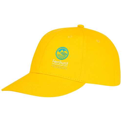 Ares 6 panel cap