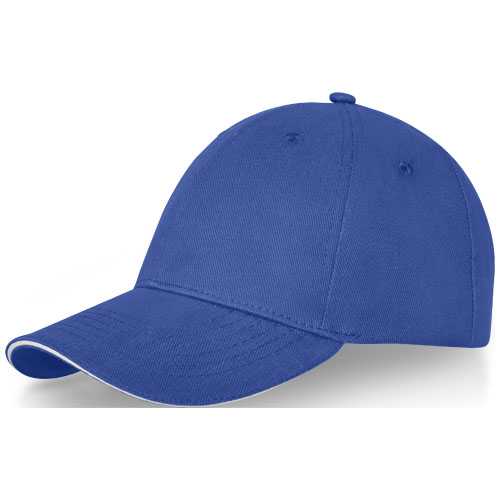 Darton 6 panel sandwich cap