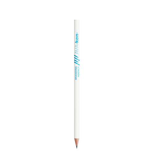 BIC® Evolution® Ecolutions® Cut pencil