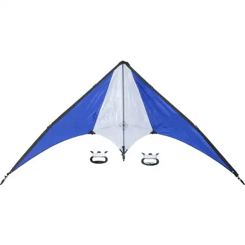 Kite