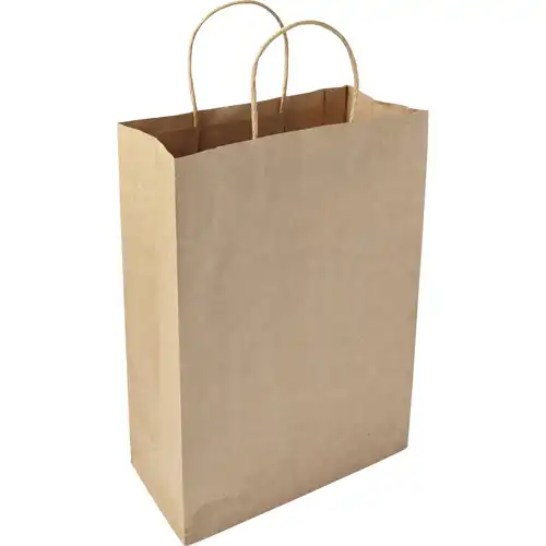 Paper bag (large)