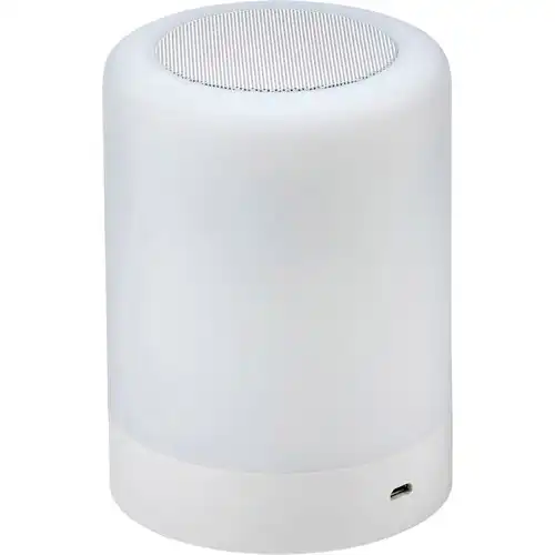 Wireless speaker