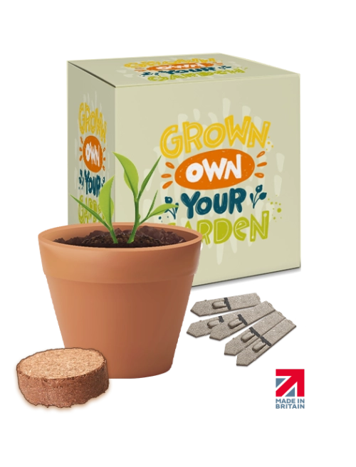 Boxed Pot Seed Gardens