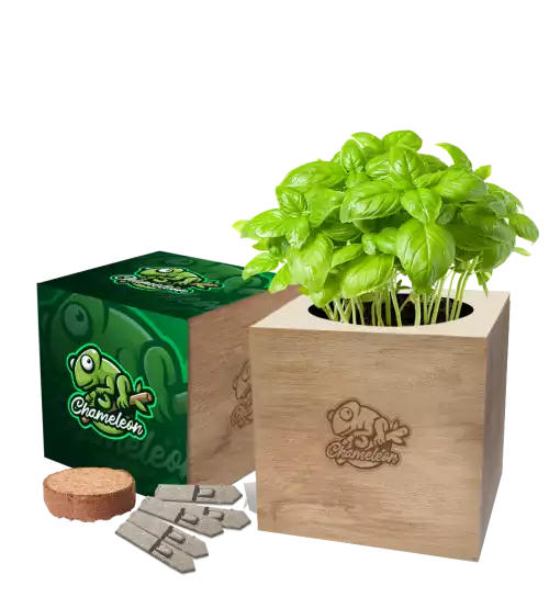 Desktop Cube Gardens