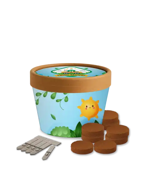 Desktop Cup Gardens