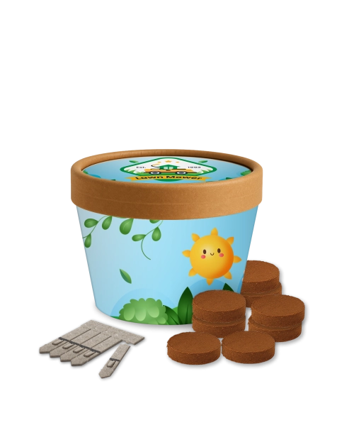 Desktop Cup Gardens