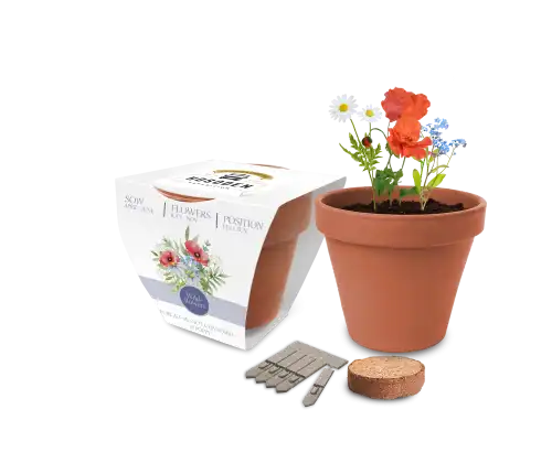 Essentials Clay Pot Seed Gardens