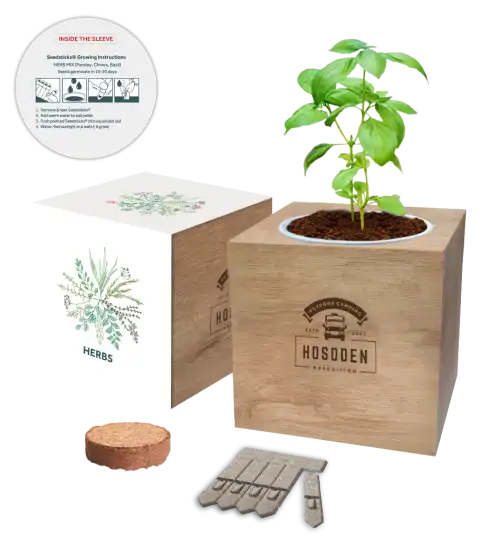 Essentials Desktop Cube Gardens