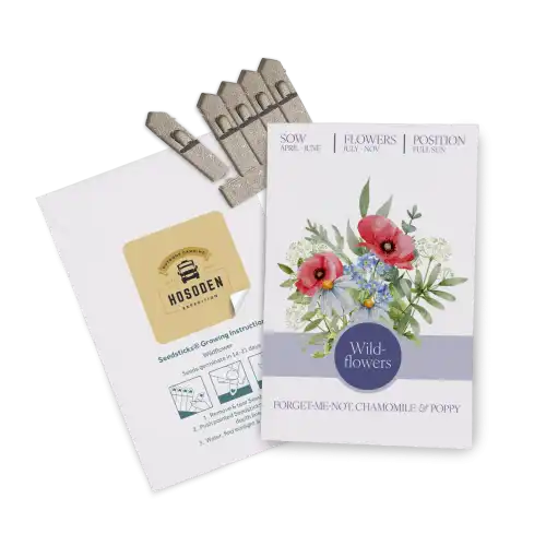 Express Seed Packet Envelopes
