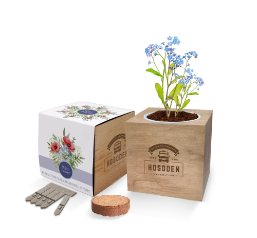 Express Desktop Cube Seed Gardens 