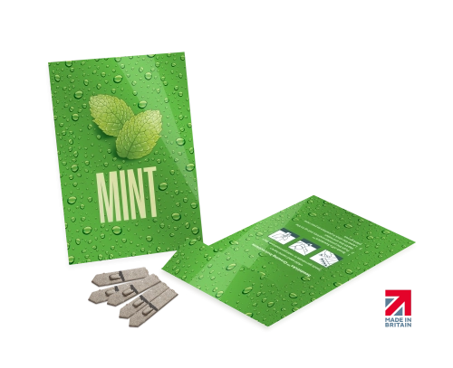 Medium Seed Packet Envelopes - Gloss