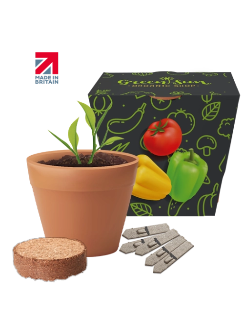 Recycled Pot Seed Gardens