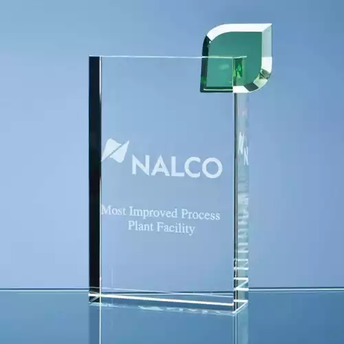 17cm Optical Crystal Eco Excellence Award with a Single Green Leaf