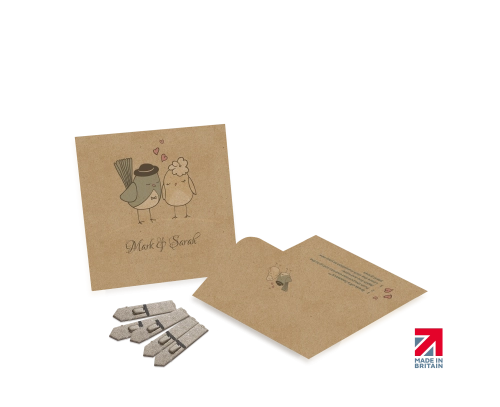 Small Seed Packet Envelopes - Kraft