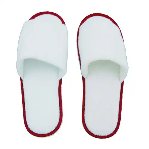 Pair of slippers