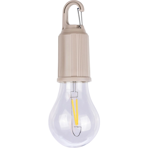 Chargeable lightbulb
