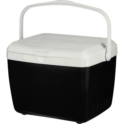 Cooler box (13 litre)