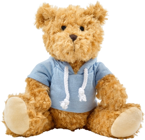 Plush teddy bear with hoodie