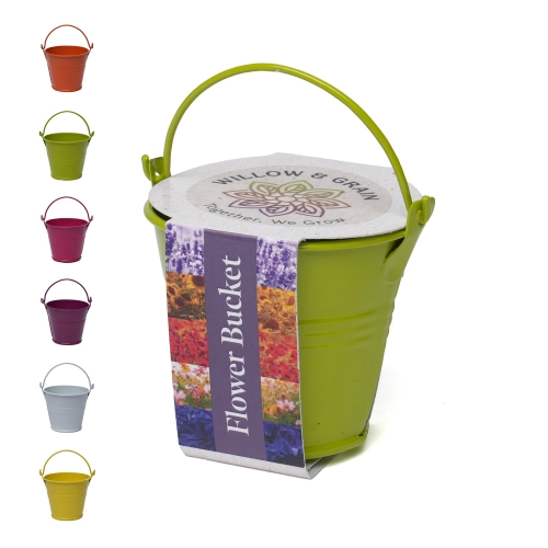 Coloured Mini Bucket Grow Kit