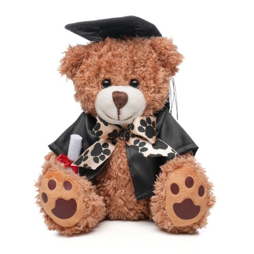 Graduation Style Medium Patched Paw Teddy