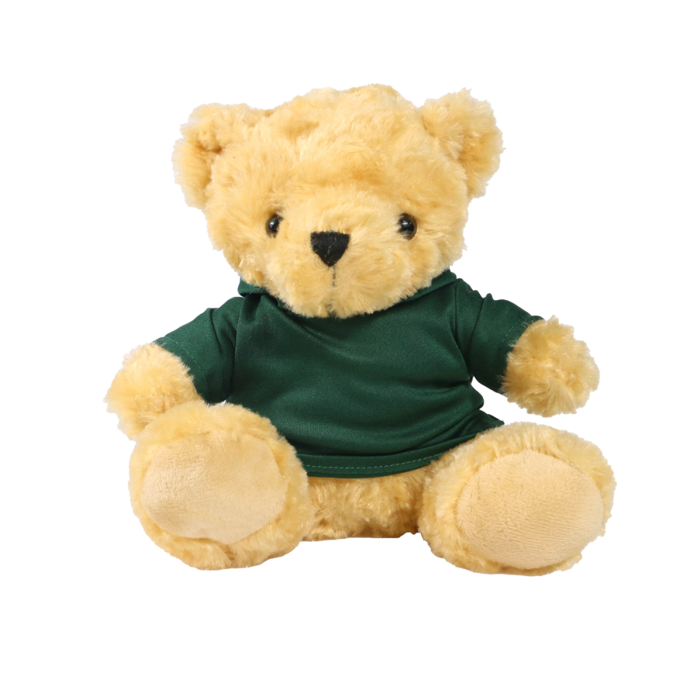 19cm Victoria bear with printed Green Hoody