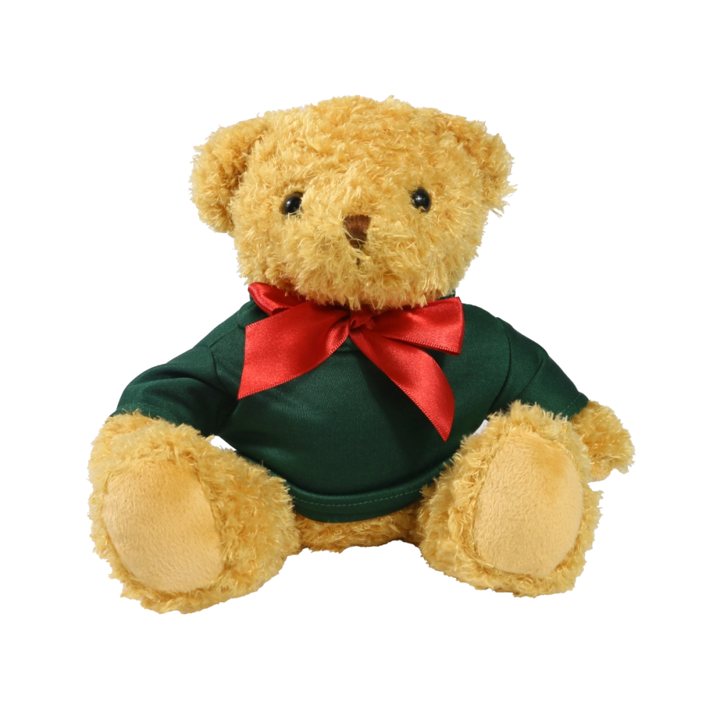18cm William Bear with Green hoody