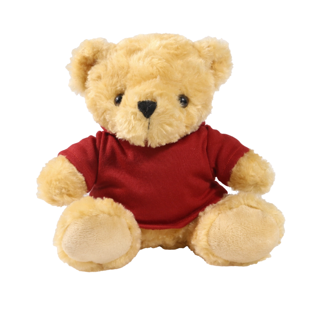 19cm Victoria bear with printed Maroon Hoody