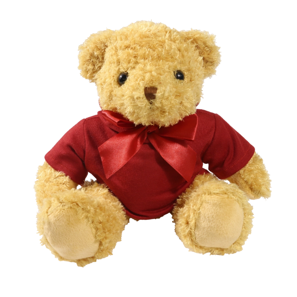 18cm William Bear with Maroon hoody