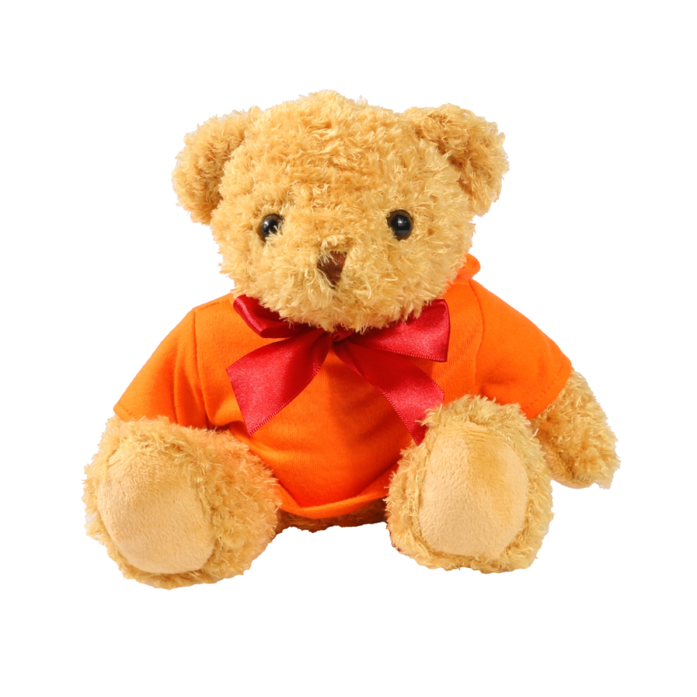 18cm William Bear with Orange hoody