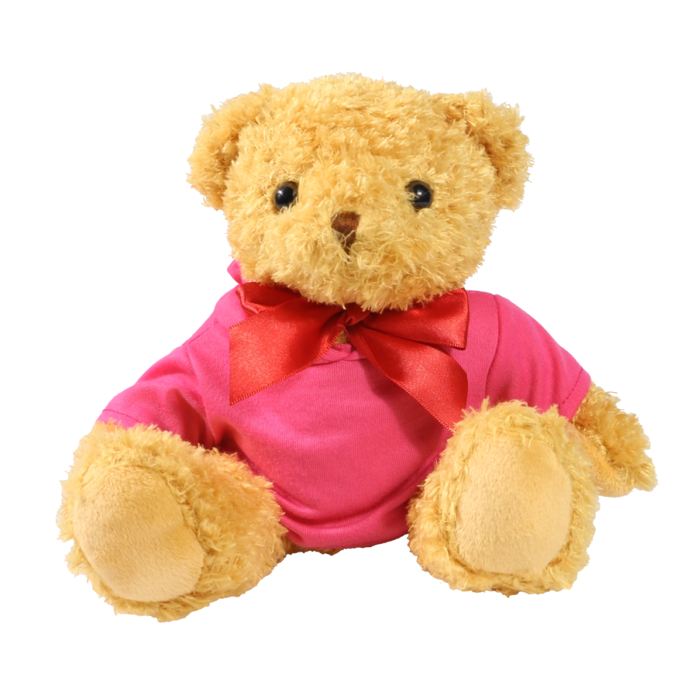 18cm William Bear with Pink hoody
