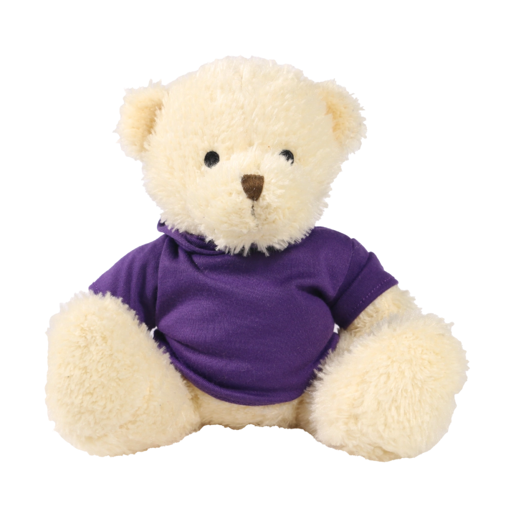 White 18cm James bear with printed Purple Hoody