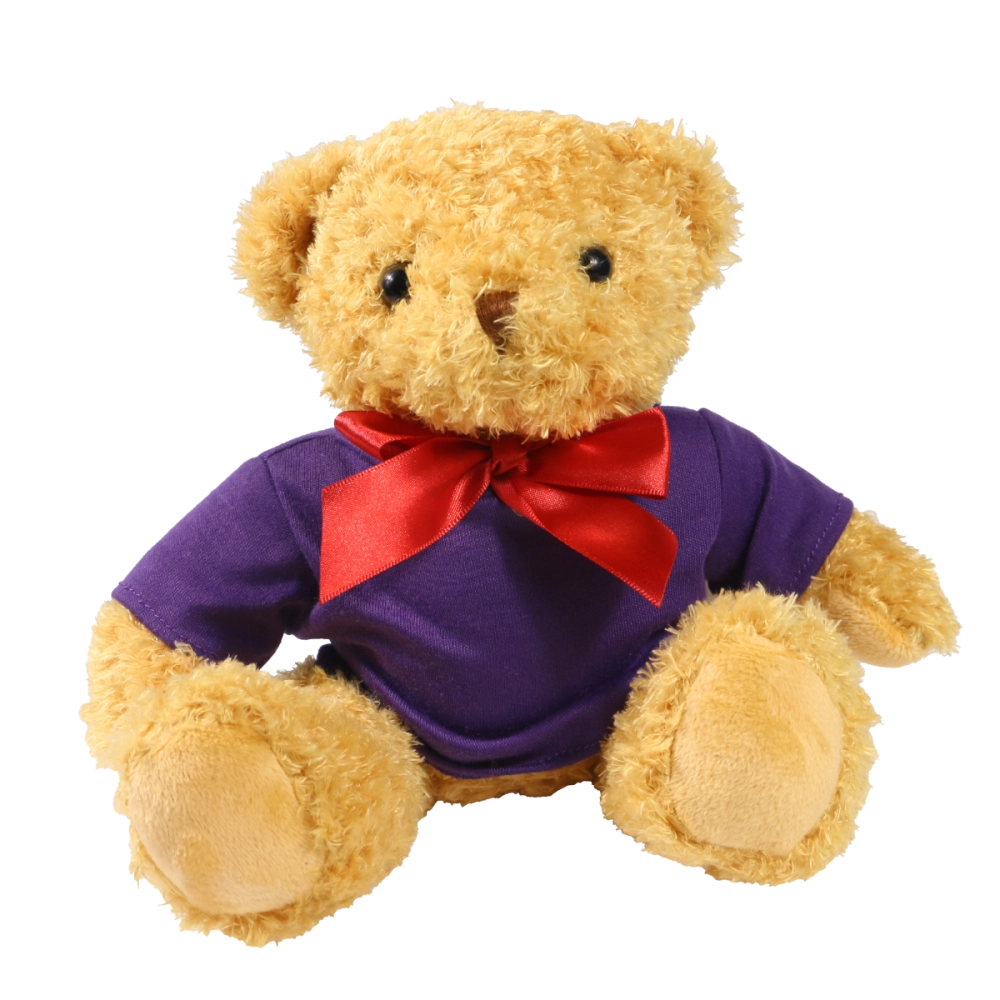 18cm William Bear with Purple hoody