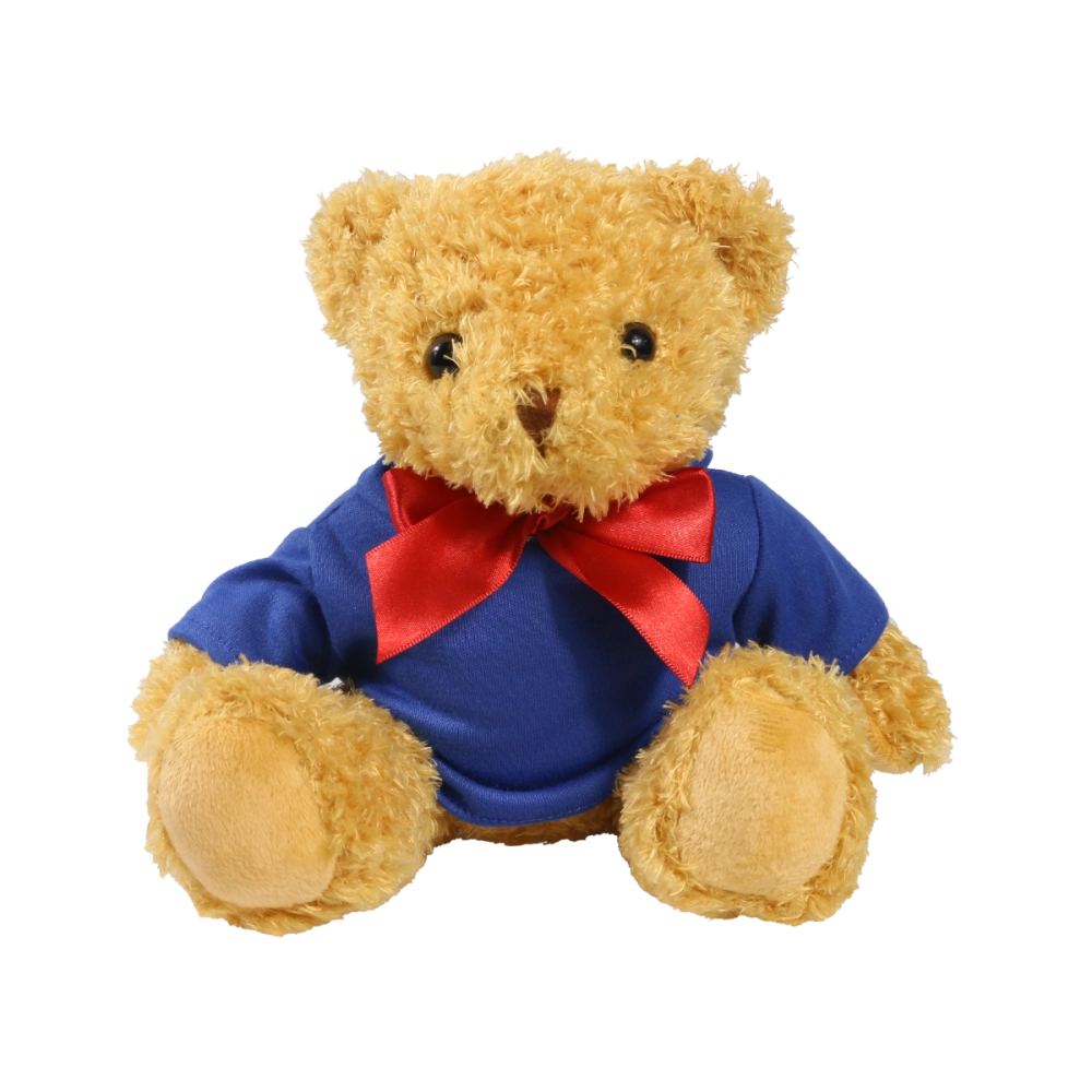 18cm William Bear with Royal Blue hoody