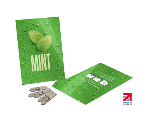 Medium Seed Packet Envelopes - Gloss