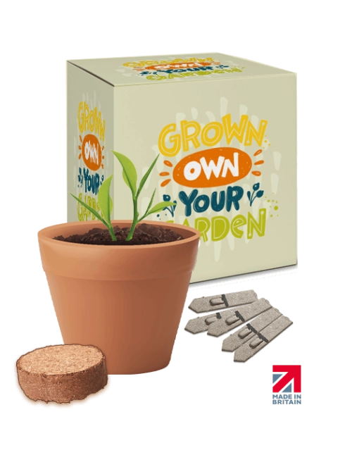 Boxed Pot Seed Gardens