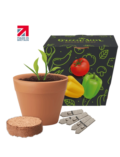 Recycled Pot Seed Gardens