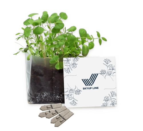 Letterbox Seed Gardens