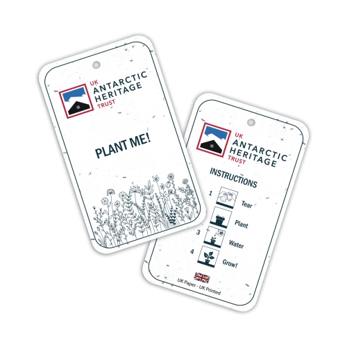 Seeded Paper Swing Tag (2PP)