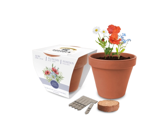 Super Express Essentials Clay Pot Seed Gardens