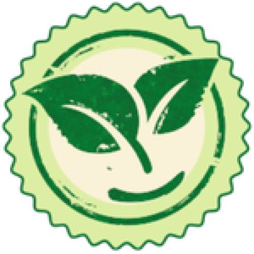 Eco Friendly Eco Friendly